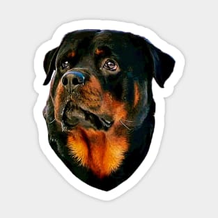 Rottweiler Dog Sticker